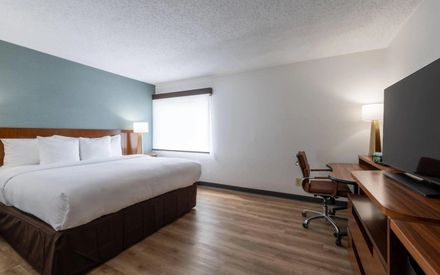 photo 4 of Comfort Inn - Dedham-Boston MetroWest