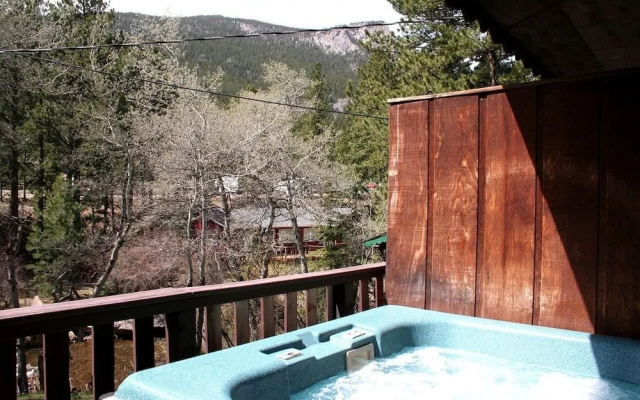 photo 5 of Fawn Valley Inn: 255 1 Bedroom Condo