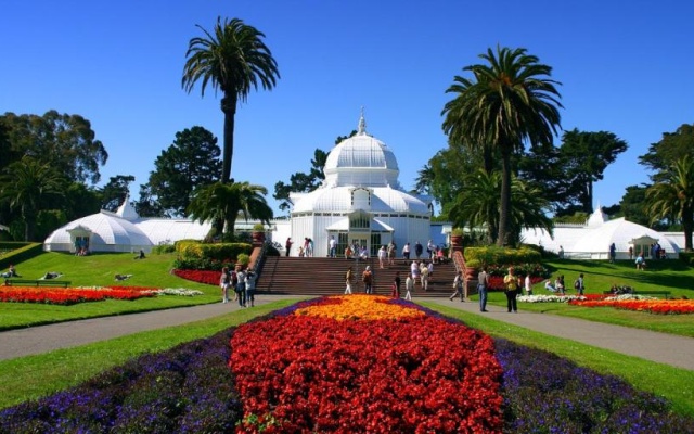 photo 2 of Golden Gate Park Suite