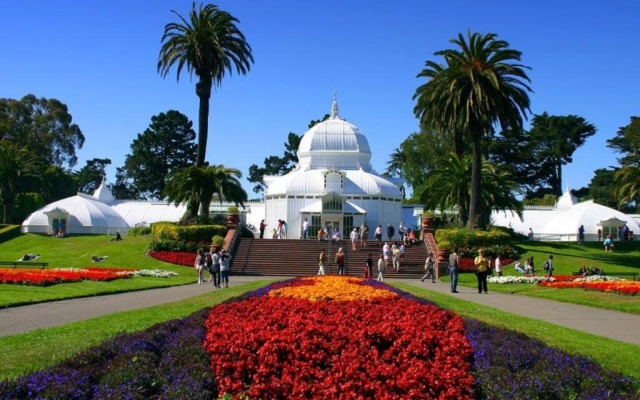 photo 4 of Golden Gate Park Sweet Home- 3 Bedrooms