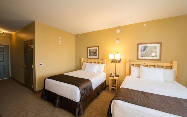 photo 4 of Great Wolf Lodge Anaheim, CA