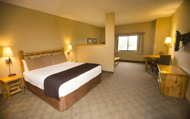 photo 4 of Great Wolf Lodge Grapevine