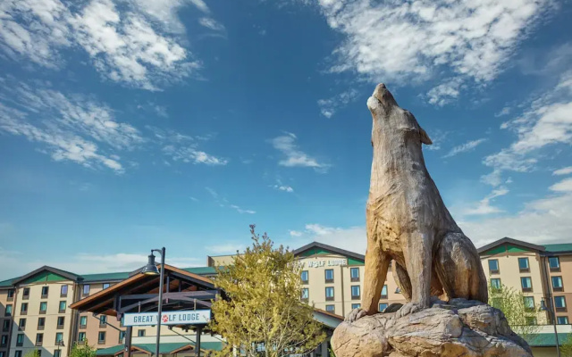 photo 5 of Great Wolf Lodge Perryville
