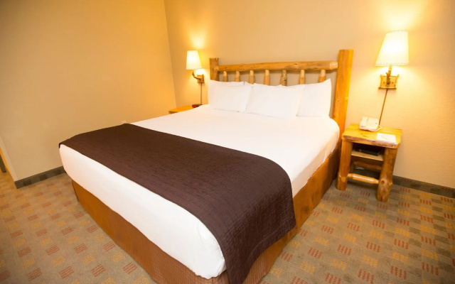 photo 5 of Great Wolf Lodge Williamsburg