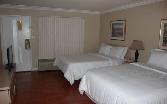 photo 4 of Guest House