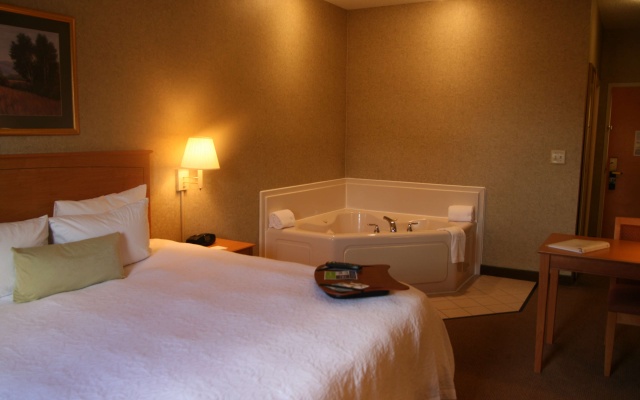 photo 5 of Hampton Inn & Suites Kalamazoo - Oshtemo