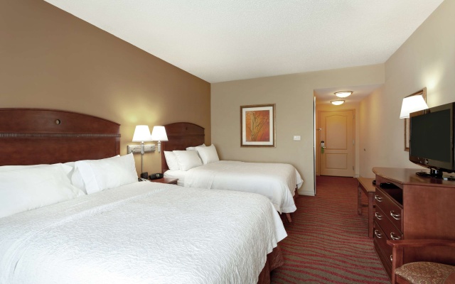 photo 3 of Hampton Inn & Suites Port Richey