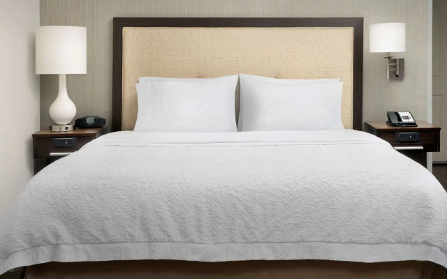 photo 3 of Hampton Inn & Suites by Hilton Phoenix Tempe