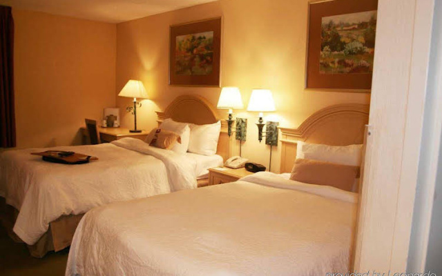 photo 4 of Hampton Inn Dallas-Arlington-DFW-Six Flags