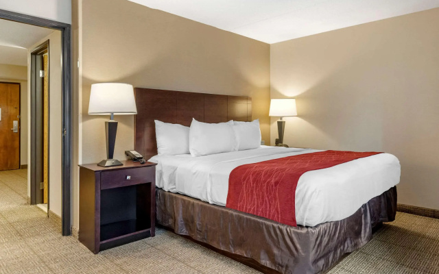 photo 4 of Comfort Inn Lansing West