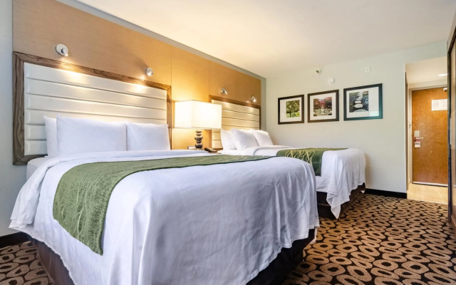 photo 3 of Comfort Inn Raleigh Midtown