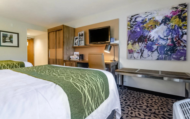 photo 4 of Comfort Inn Raleigh Midtown