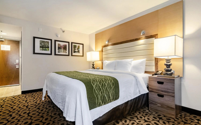 photo 5 of Comfort Inn Raleigh Midtown