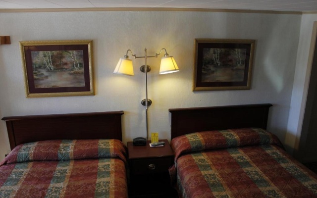 photo 4 of Happy Bear Motel