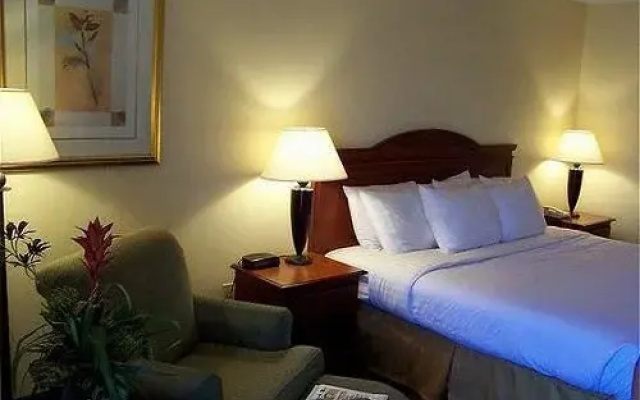 photo 3 of Holiday Inn Albany Mall-dawson