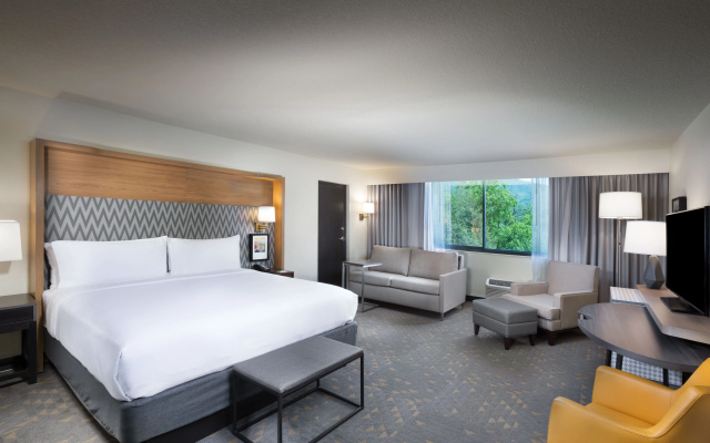 photo 3 of Holiday Inn Asheville East-Blue Ridge PKWY by IHG