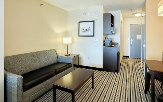 photo 4 of Holiday Inn Express Hotel & Suites Batavia - Darien Lake by IHG