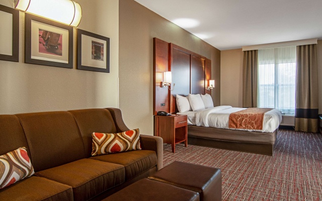 photo 4 of Comfort Suites NW Dallas Near Love Field