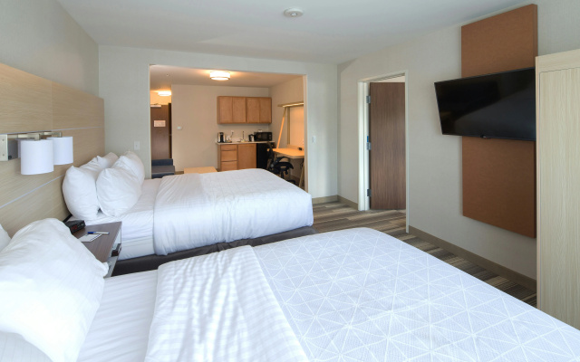 photo 3 of Holiday Inn Express Hotel & Suites Detroit - Utica by IHG