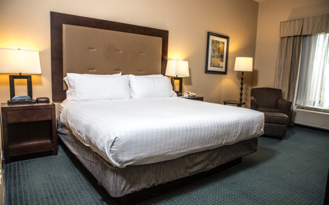 photo 4 of Holiday Inn Express Hotel & Suites Detroit-Novi by IHG