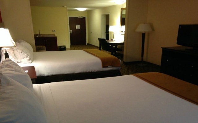photo 5 of Holiday Inn Express & Suites Niles
