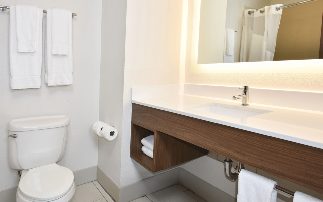 photo 5 of Holiday Inn Express and Suites Selma