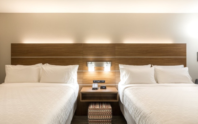 photo 4 of Holiday Inn Express & Suites Greenville S- Piedmont, an IHG Hotel