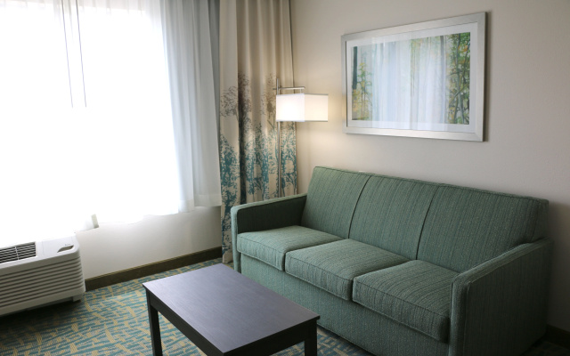 photo 5 of Holiday Inn Express & Suites Hendersonville SE - Flat Rock