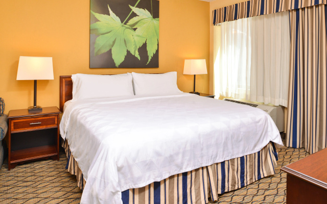 photo 4 of Holiday Inn & Suites Chicago - Downtown by IHG