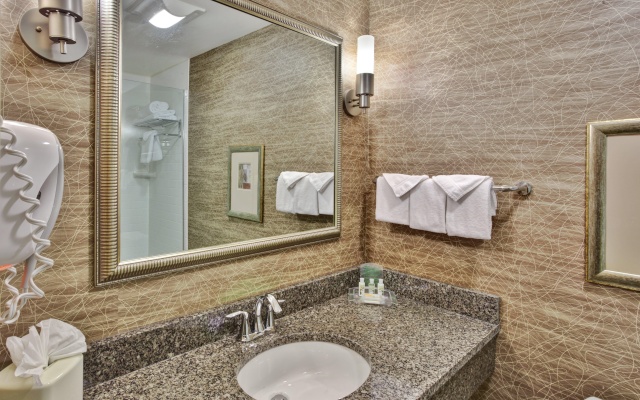 photo 5 of Holiday Inn Hotel & Suites Detroit Metro Airport