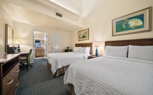 photo 5 of Holiday Inn & Suites Clearwater Beach S-Harbourside by IHG