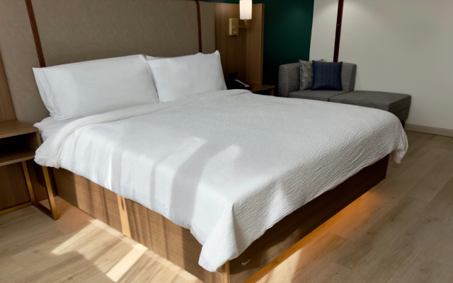 photo 4 of Holiday Inn Houston S - Nrg Area - Medical Center by IHG
