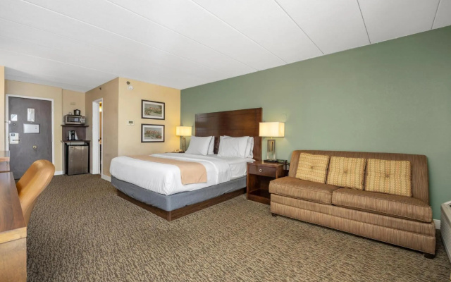 photo 4 of Forest Park Hotel by MDR