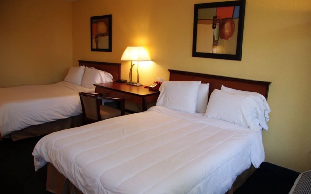photo 3 of Holiday Park Hotels & Suites