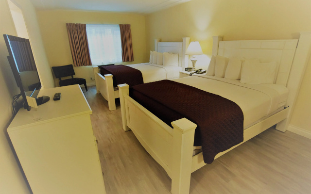 photo 3 of Hollywood Celebrity Hotel
