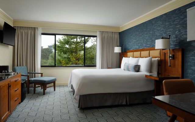 photo 4 of Hotel Abrego