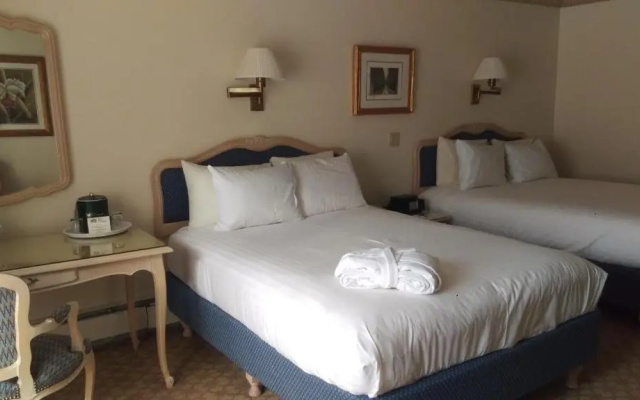 photo 2 of Hotel Gasthof Gramshammer