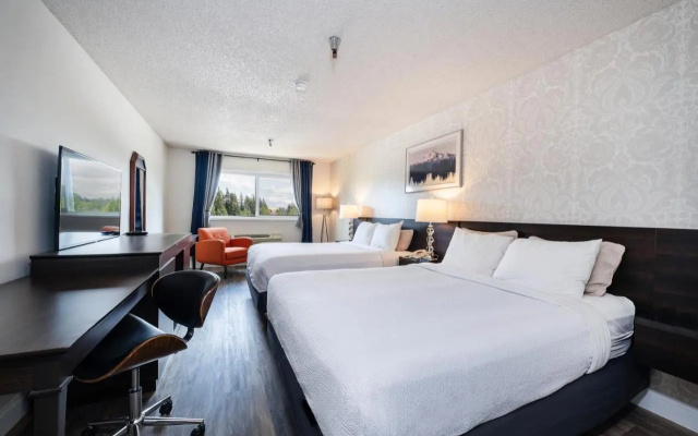 photo 5 of Hotel International