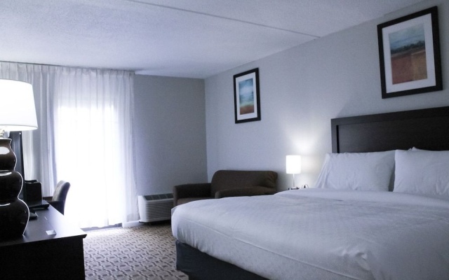 photo 5 of Hotel Lex