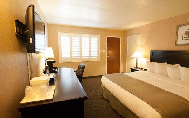 photo 3 of Hotel Solaire Los Angeles