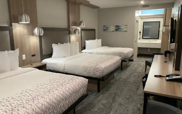 photo 5 of Hotel Solara I-45 Hobby Airport Houston