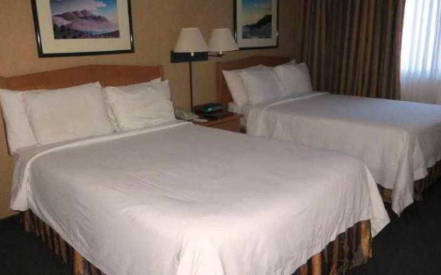 photo 3 of Hotel VQ Denver