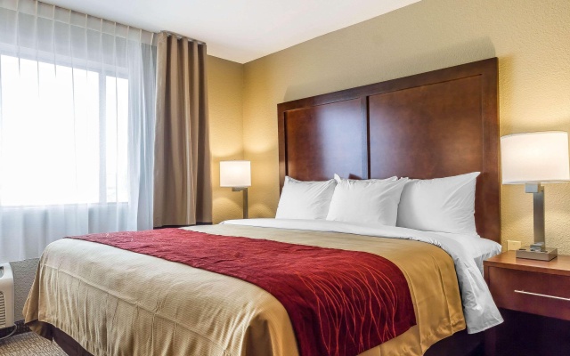 photo 5 of Comfort Inn & Suites Rocklin - Roseville