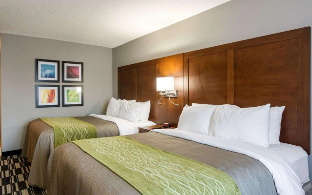 photo 5 of Quality Inn & Suites Ashland near Kings Dominion