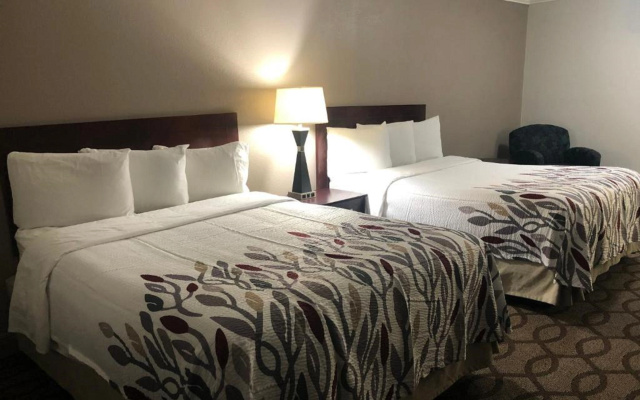photo 4 of Red Roof Inn Lexington - Hamburg