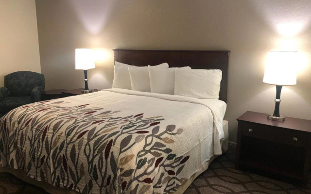 photo 5 of Red Roof Inn Lexington - Hamburg
