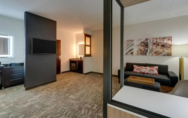 photo 5 of SpringHill Suites Birmingham Downtown at UAB