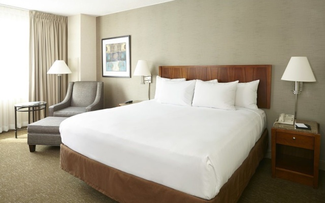 photo 5 of Hyatt Centric Chicago O’Hare