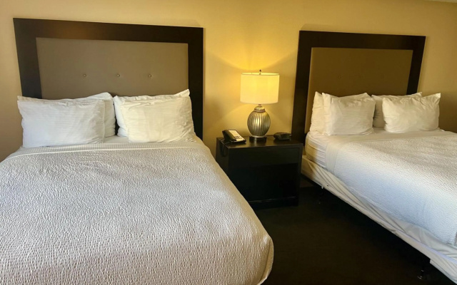 photo 5 of Jockey Club Suites