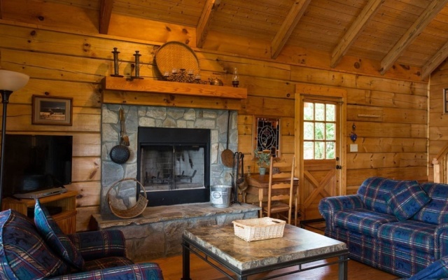 photo 3 of Juve Cabin